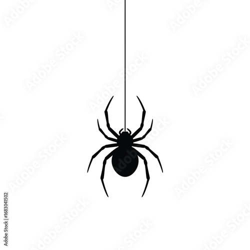 Black spider hanging on string arachnid