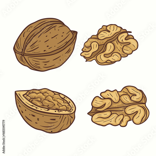 Whole and shelled walnuts with detailed texture food healthy