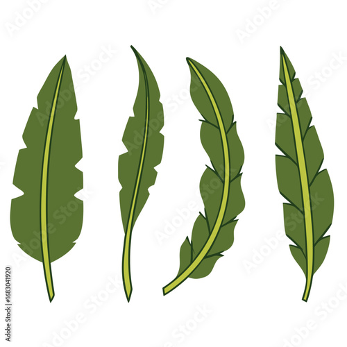 Green leaves with yellow veins nature