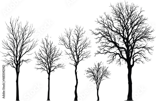 Set of bare winter trees with unique branching structures isolated on white, seasonal botanical silhouette illustration