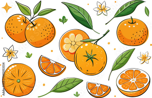 Fresh orange. Big vector collection of fresh oranges. Orange fruit isolated on white background.
