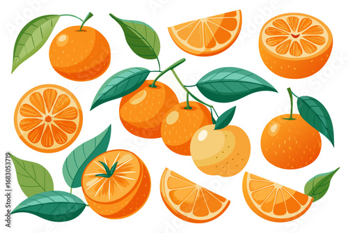Fresh orange. Big vector collection of fresh oranges. Orange fruit isolated on white background.
