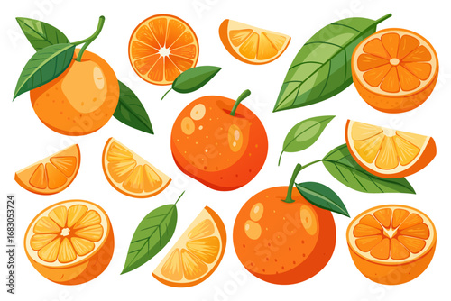 Fresh orange. Big vector collection of fresh oranges. Orange fruit isolated on white background.

