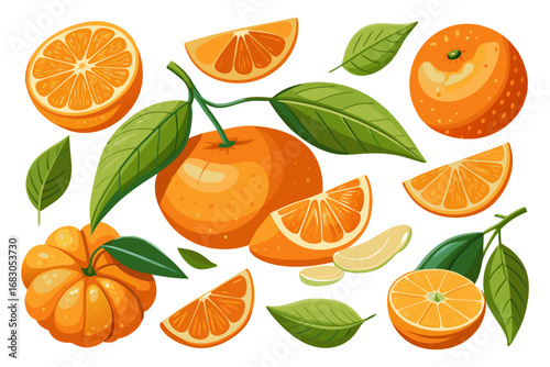 Fresh orange. Big vector collection of fresh oranges. Orange fruit isolated on white background.
