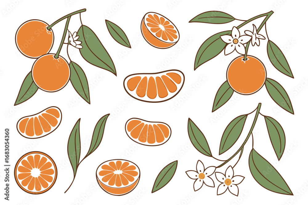 Obraz premium Fresh orange. Big vector collection of fresh oranges. Orange fruit isolated on white background. 