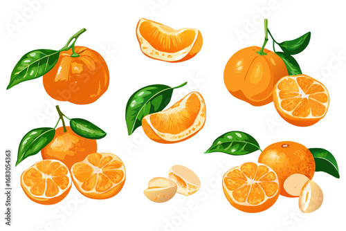 Fresh orange. Big vector collection of fresh oranges. Orange fruit isolated on white background.
