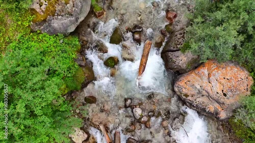Aerial video of a mountain stream in Kyrgyzstan flowing through mossy rocks and trees. The camera flies gently upward along the creek, capturing a peaceful forest canyon.