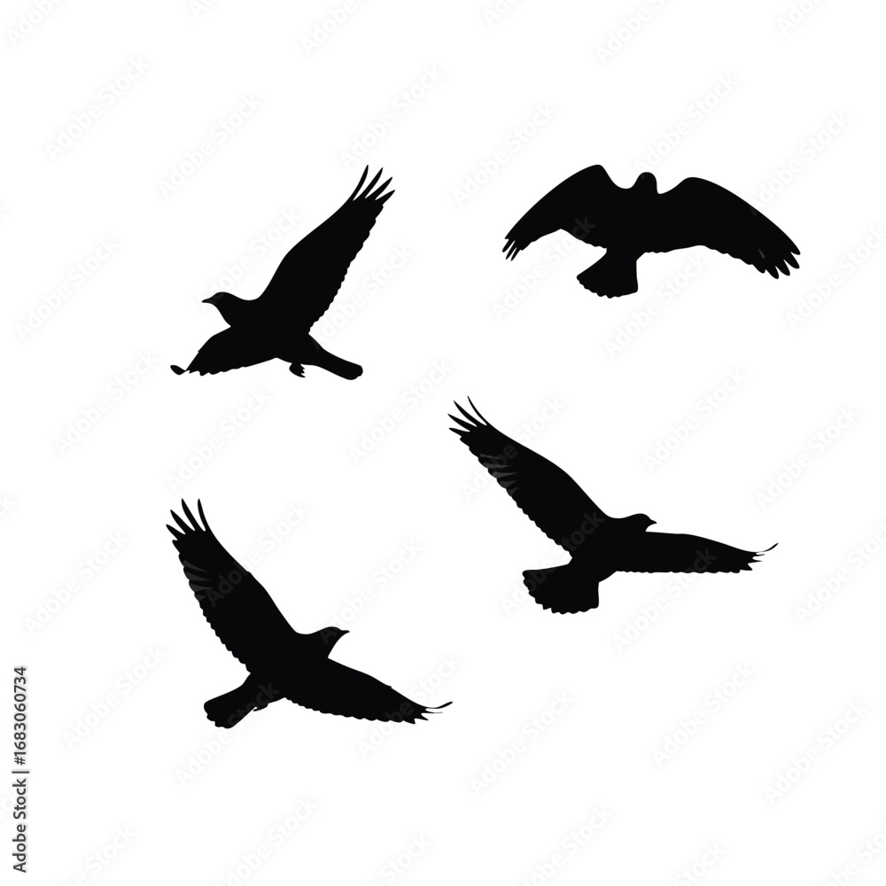 Obraz premium A collection of four black silhouettes of large birds of prey such as eagles or hawks in various flight poses.