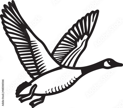 Illustration of a canada goose in flight