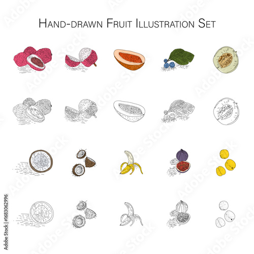 Hand-drawn fruit illustration set with lychee, sapodilla, blueberries, melon, coconut, banana, figs, and more in both colored and vintage black-and-white sketch styles