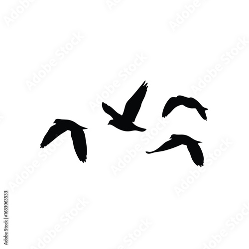 A flock of four black bird silhouettes flying together in formation against a plain background.