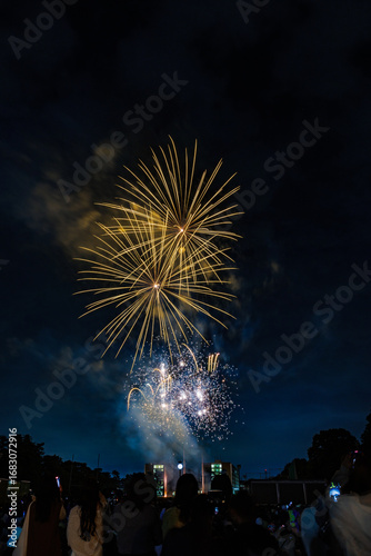 夏の夜空を彩る花火