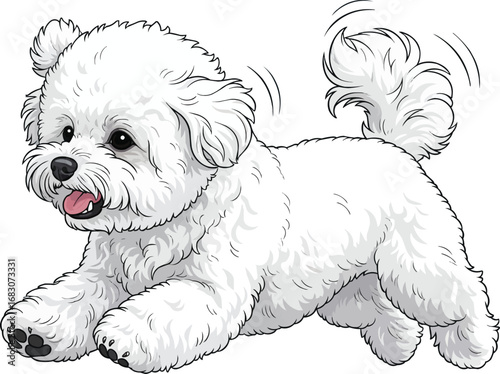Bichon Frise dog running playful cute side view vector illustration