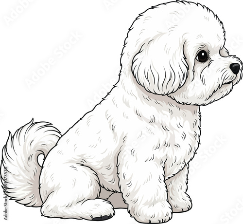 Bichon Frise dog cute sitting side profile view vector illustration