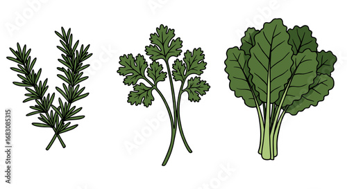 Outline Set of 3 Icons, Black on White, Doodle, Different Herbs  