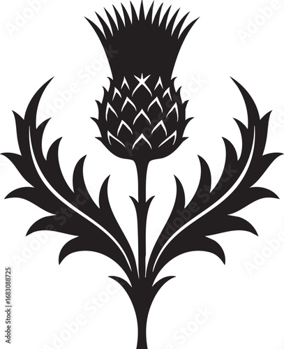 Scottish Thistle Silhouette