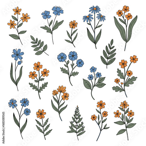 Collection of delicate wildflowers and green foliage for artistic design projects