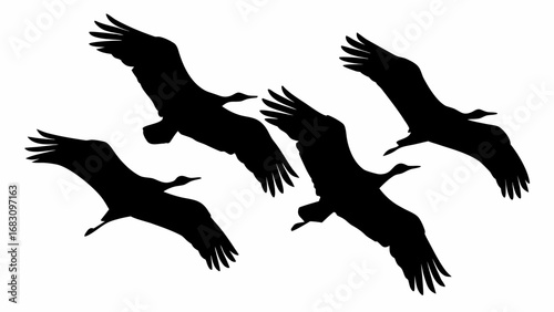 Silhouette of four birds with outstretched wings flying in formation against a white background in the sky | editable eps vectors