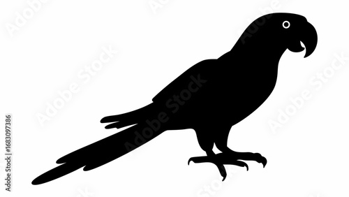 Silhouette of a parrot with a curved beak and long tail standing on its feet in black color on white background | editable eps vectors