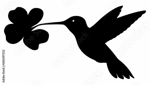 Silhouette of a hummingbird holding a four leaf clover in its beak in a black and white illustration | editable eps vectors