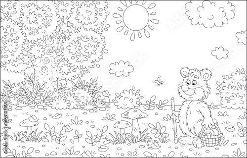 Funny brown bear mushroomer with a wicker basket walking through a forest glade and picking mushrooms among grass and branches, black and white vector cartoon illustration for a coloring book