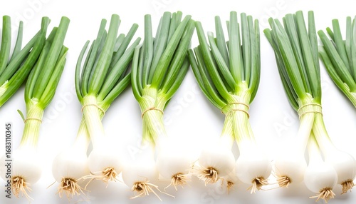 Fresh green onions arranged in horizontal rows against a plain white background