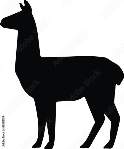 Illustrator Vector Black llama standing isolated on white background silhouette