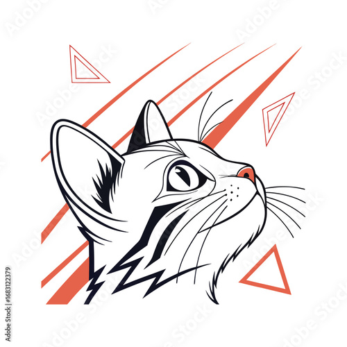 cat and fish