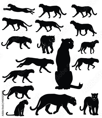 Collection of jaguar animal silhouette vector illustration set for design and artwork use