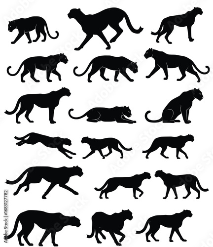 Collection of jaguar silhouettes vector illustration animal predator feline design art