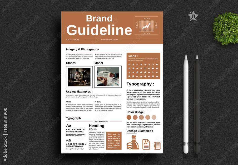 Brand Guidelines Flyer Layout Stock Template | Adobe Stock