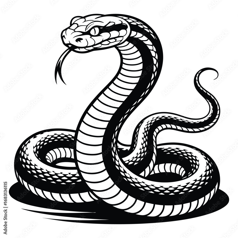 Fototapeta premium black snake vector