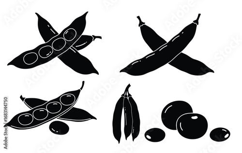 Isolated beans vector illustration fresh organic legume vegetable plant graphic design silhouette