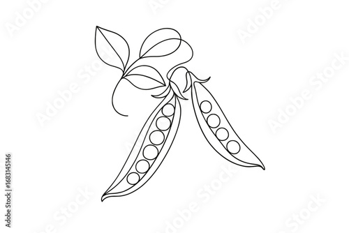 Pea Pod with Leaves Minimal Line Art Illustration