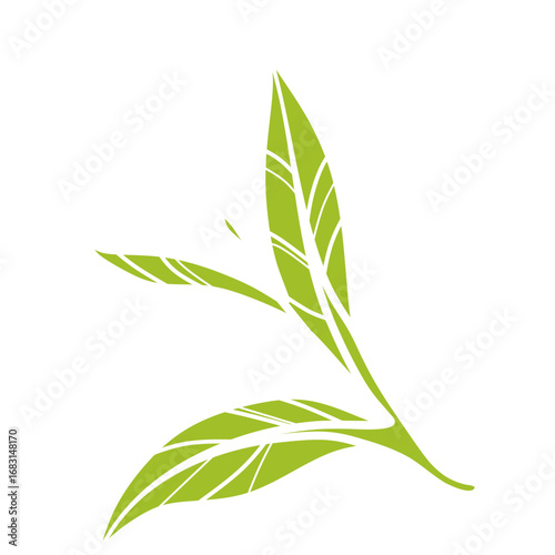 A stylized graphic illustration of a fresh green tea sprig with three leaves on a white background.