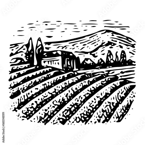 Scenic Vineyard Landscape: Wine Country Fields Art