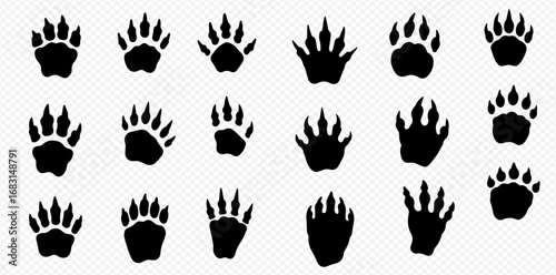 Collection of various animal paw prints in black silhouette on a transparent background.