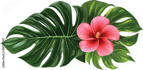 Vibrant pink hibiscus flower nestled amongst lush green monstera tropical leaves