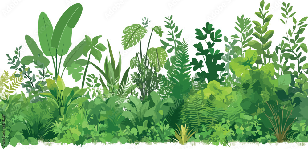 Obraz premium Lush green tropical foliage and plants in a vibrant natural border against a white background