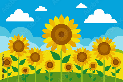 fields of sunflowers under a bright  sunny summer 