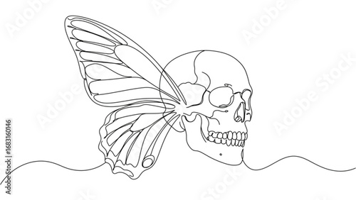 Continuous Line Drawing Skull Morphing into Butterfly Wings Minimalist Surreal Vector Illustration