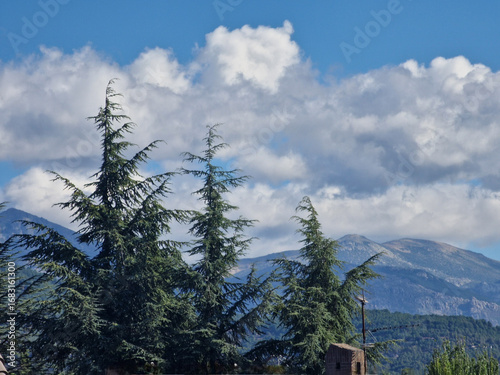 Tranquil autumn landscape with colorful meadow trees and blue sky with white clouds