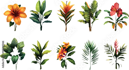 Collection of ten vibrant tropical floral botanical illustrations isolated on white background