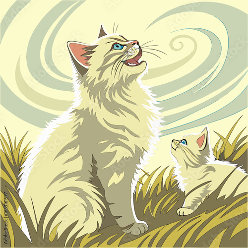 cats