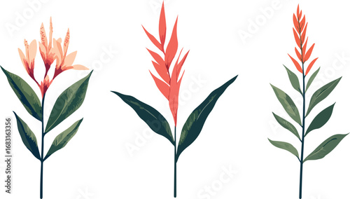Three delicate watercolor botanical illustrations of flowering plants with green leaves on white background