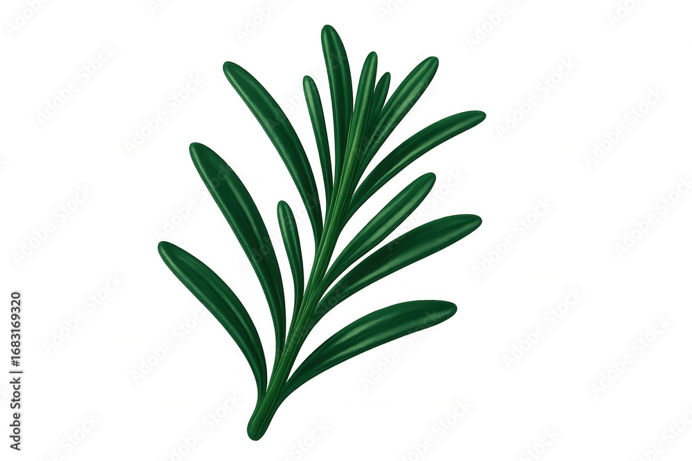 Fototapeta premium Detailed 3d rendering of fresh rosemary sprig, isolated on transparent background, highlighting botanical textures for culinary design