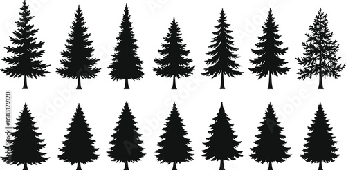 Collection of pine tree silhouette vector illustrations in black for forest, landscape, nature, winter season, outdoor design, and decoration.