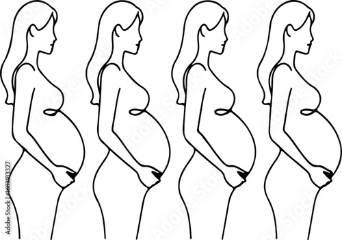 Four stages of pregnancy progression depicted in a stylized silhouette
