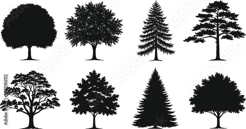 Collection of Vector Tree Silhouettes Featuring Deciduous and Evergreen Species for Landscape Design, Nature Illustration, Forest Art, and Outdoor Use
