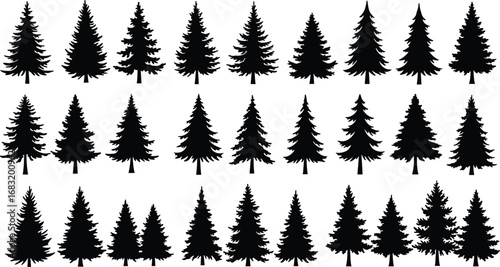 Silhouette Set of Various Pine and Fir Trees in Rows, Black Evergreen Tree Vector Collection for Nature and Forest Designs